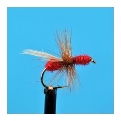 Red Flying Ant