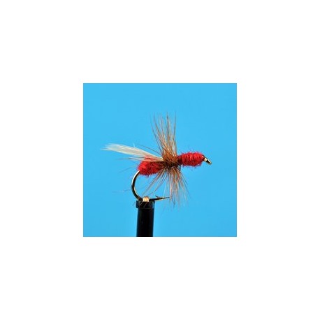 Red Flying Ant