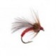 Red Grayling Dream