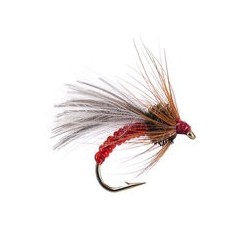Red Grayling Dream