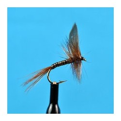 Red Quill