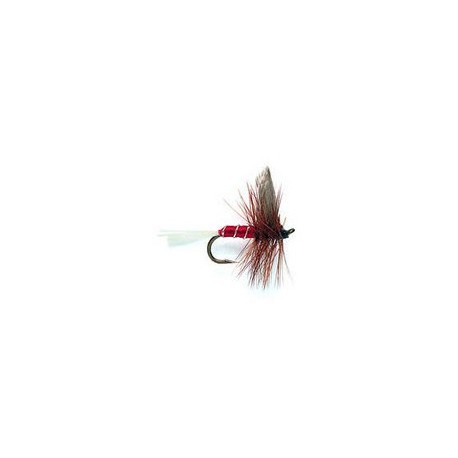 Red Spinner Dry