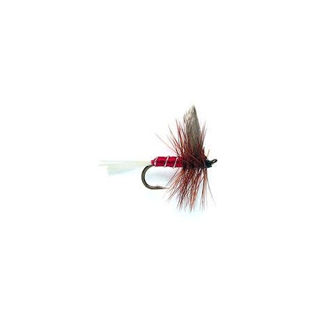 Red Spinner