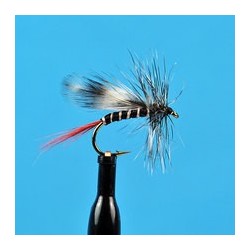 Red Tail Mosquito