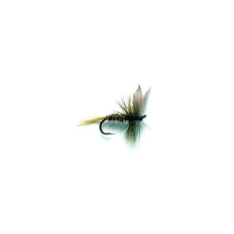 Rough Olive