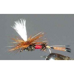 Royal Coachman Parachute