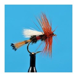 Royal Coachman Trude