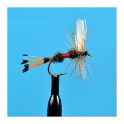 Royal Coachman
