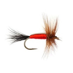 Royal Humpy