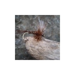 Royal Pheasant Tail