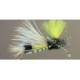 Royal Pmx Yellow