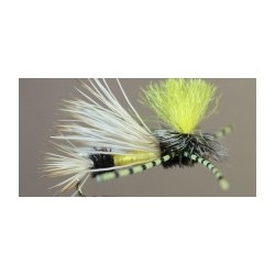 Royal Pmx Yellow