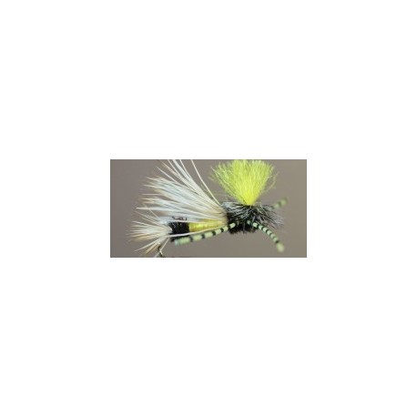 Royal Pmx Yellow