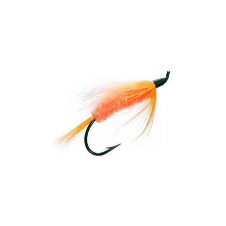 Polar Shrimp