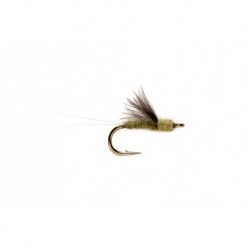 Rs Olive