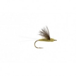 Rs Pale Morning Dun Yellow