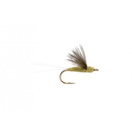 Rs Pale Morning Dun Yellow