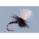 Salvinis Click Emergent Black