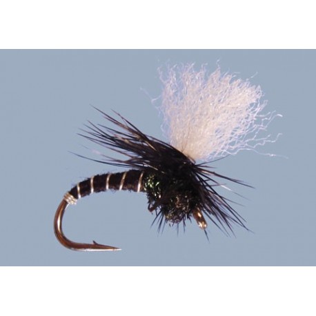 Salvinis Click Emergent Black