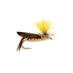 Schroeder's Hi Vis Hopper