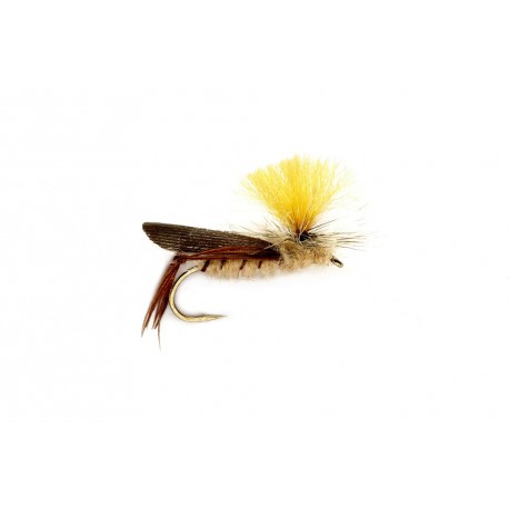 Schroeder's Hopper