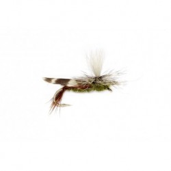 Schroeder's Para Hop Olive