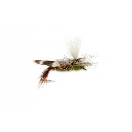 Schroeder's Para Hop Olive