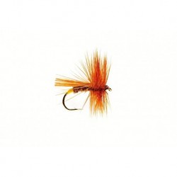 Sedge (Richard Walker)