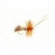 Sedge Goddard Natural