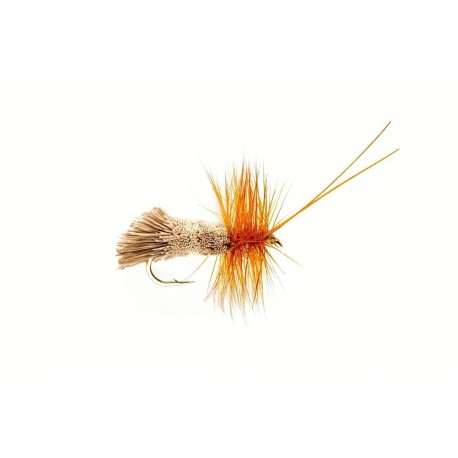 Sedge Goddard Natural
