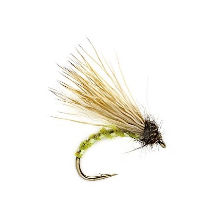 Sedge Hammer Caddis Olive