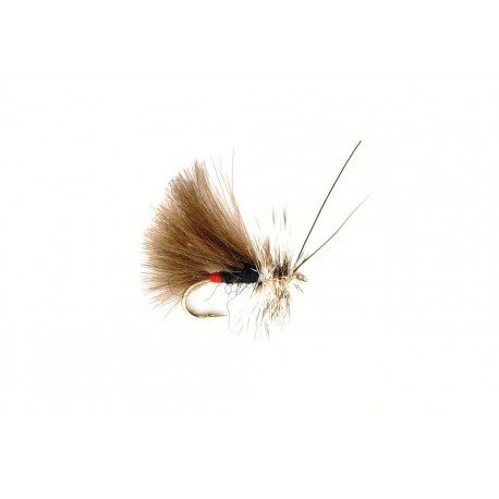 Sedge High Rider CDC Black