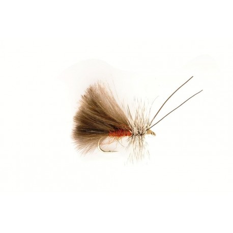Sedge High Rider CDC Brown