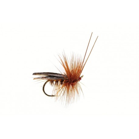 Sedge Saville Super Dark Brown