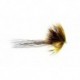 Sedgehog Mayfly