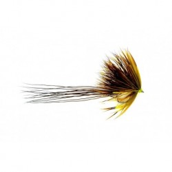 Sedgehog Mayfly