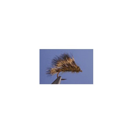 Sedgehog Olive