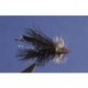 Seducer Black