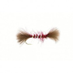 Shipman's Emerger Claret CDC