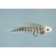 Potts Big Muddy Gray White
