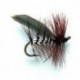 Silver Sedge