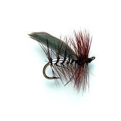 Silver Sedge