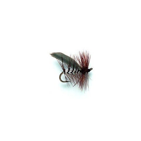 Silver Sedge