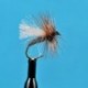 Skittering Caddis