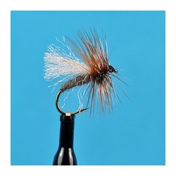 Skittering Caddis