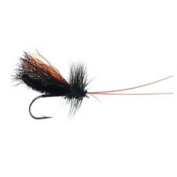 Slickwater Caddis Black