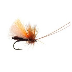 Slickwater Caddis Brown