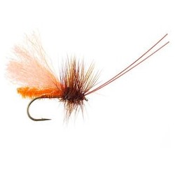 Slickwater Caddis October