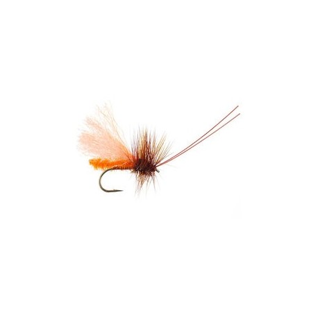 Slickwater Caddis October