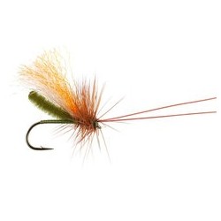 Slickwater Caddis Olive